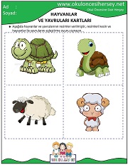 Hayvanlar ve Yavruları Eğitici Kartları